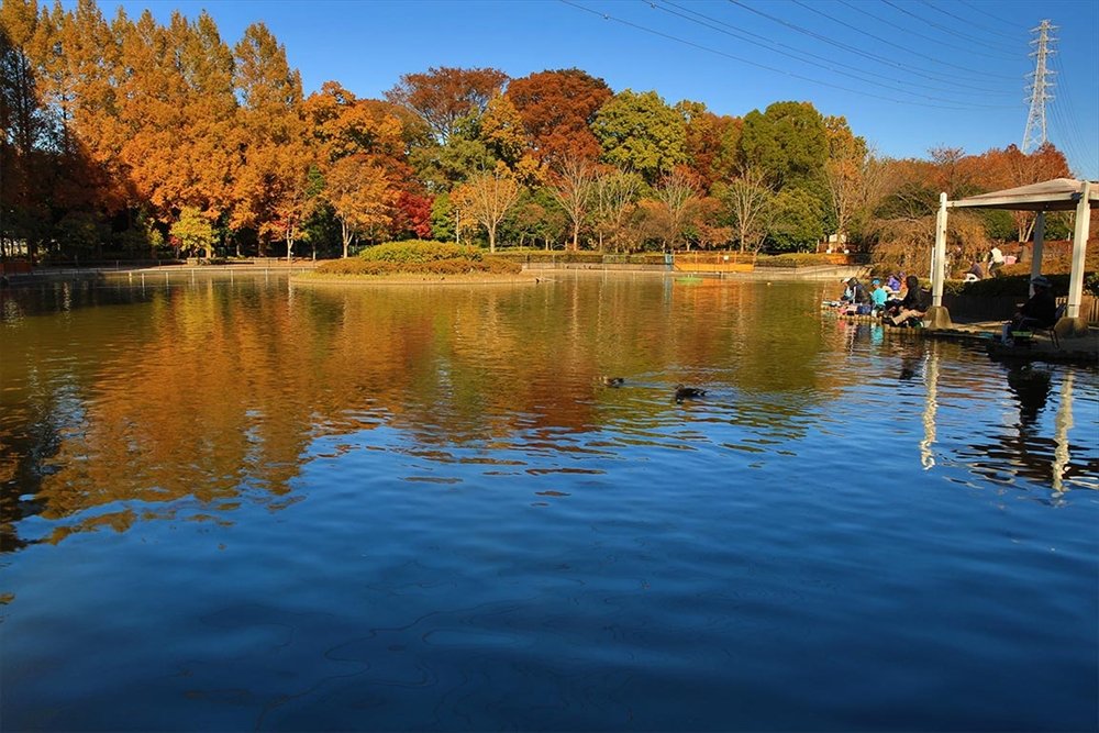 🌳 사기야마 기념공원 (사기야마 키넨코엔) 이미지 1